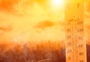 Risks to workers from extreme heat must be managed
